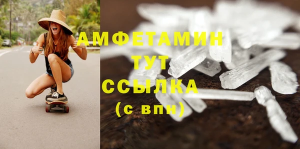 прущие грибы Приозерск