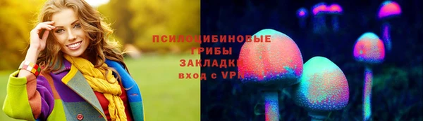 прущие грибы Приозерск