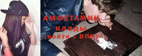 прущие грибы Приозерск