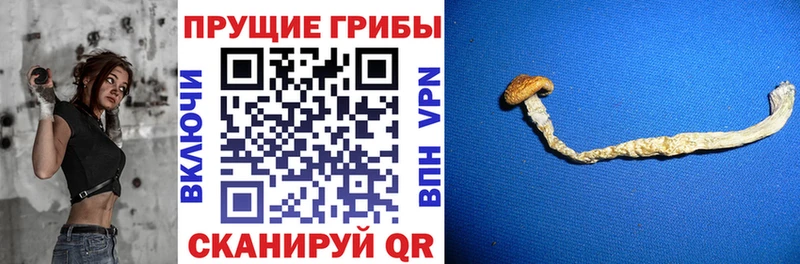 Псилоцибиновые грибы мицелий Ханты-Мансийск