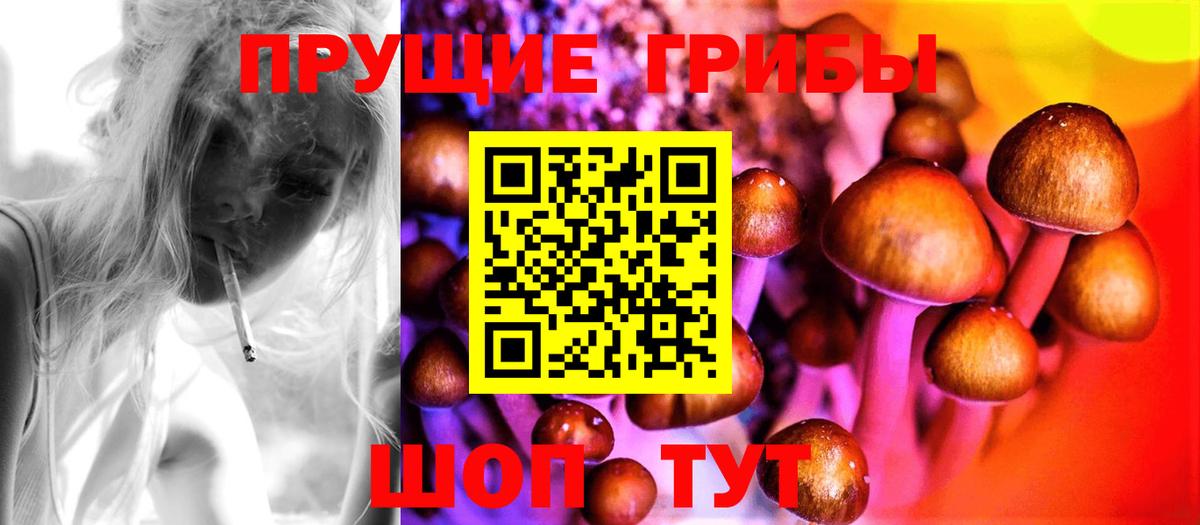 Галлюциногенные грибы Psilocybe Ханты-Мансийск